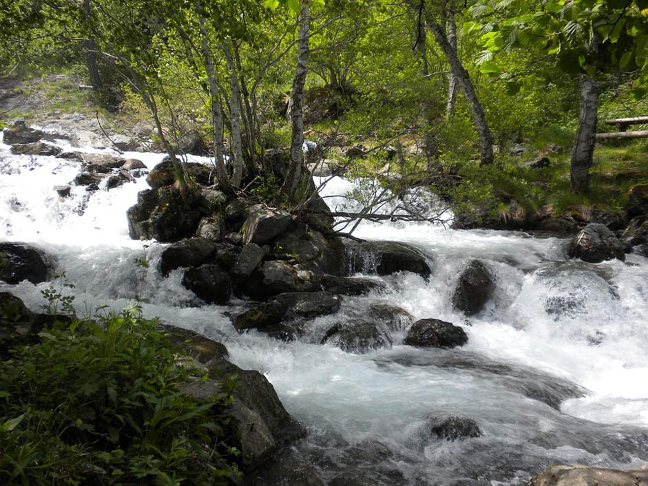 Forest Streams Andorra Spain