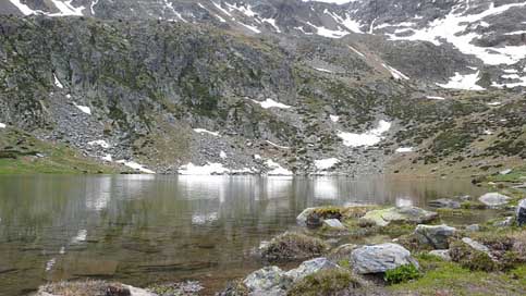 Andorra Holiday Mountains Flowers Picture