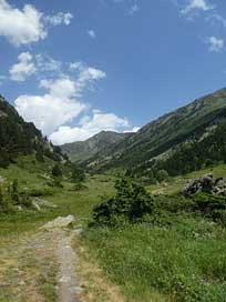 Path Andorra Mountain Trees Picture