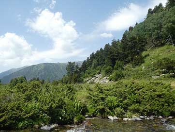River Andorra Mountain Trees Picture