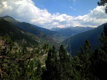 Pyrenees Pines Mountains Andorra Picture