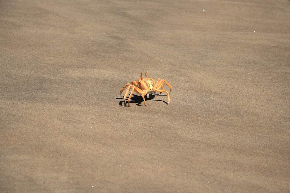 Desert Beach Sand Angola