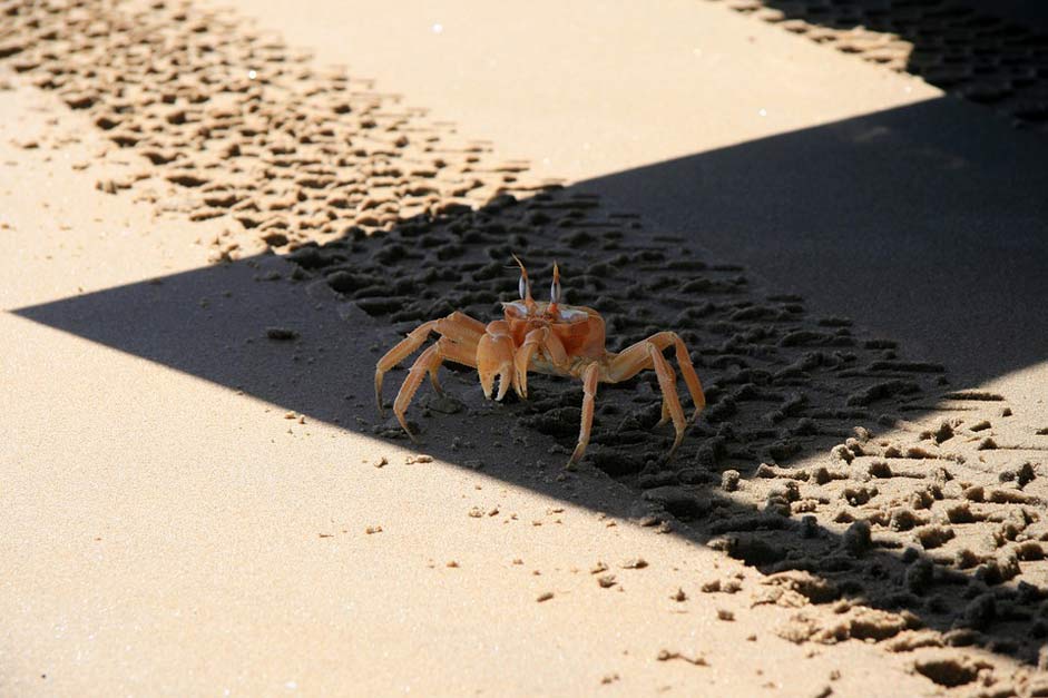 Desert Beach Sand Angola
