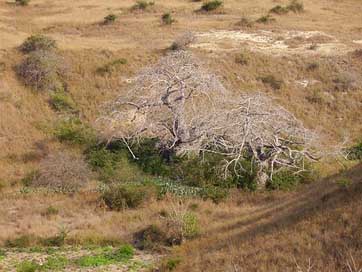 Angola  Landscape Luanda Picture