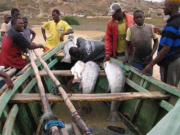 Pescadores Boat Men Angola Picture