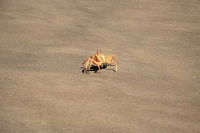 Angola Desert Beach Sand Picture