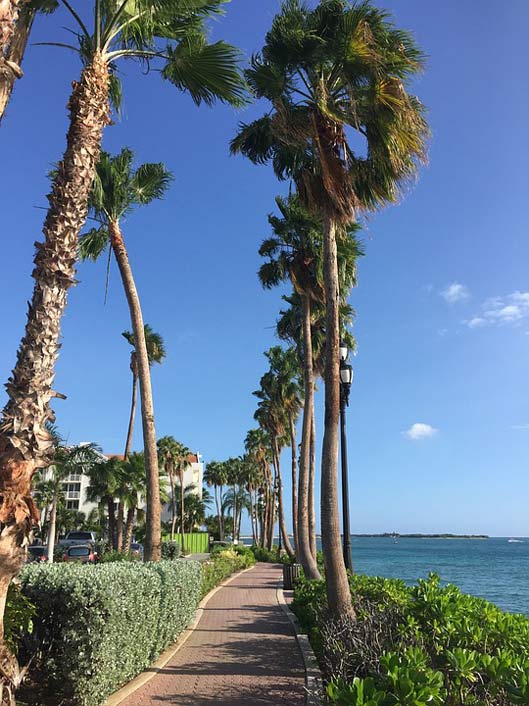  Caribbean Beach Aruba