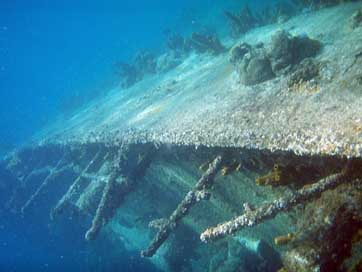 Diving Aruba Wreck Underwater Picture