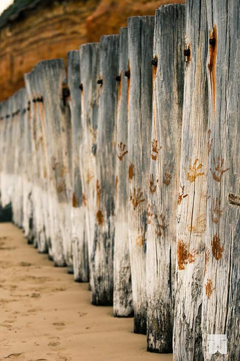 Wood Beach Poles Breakwater