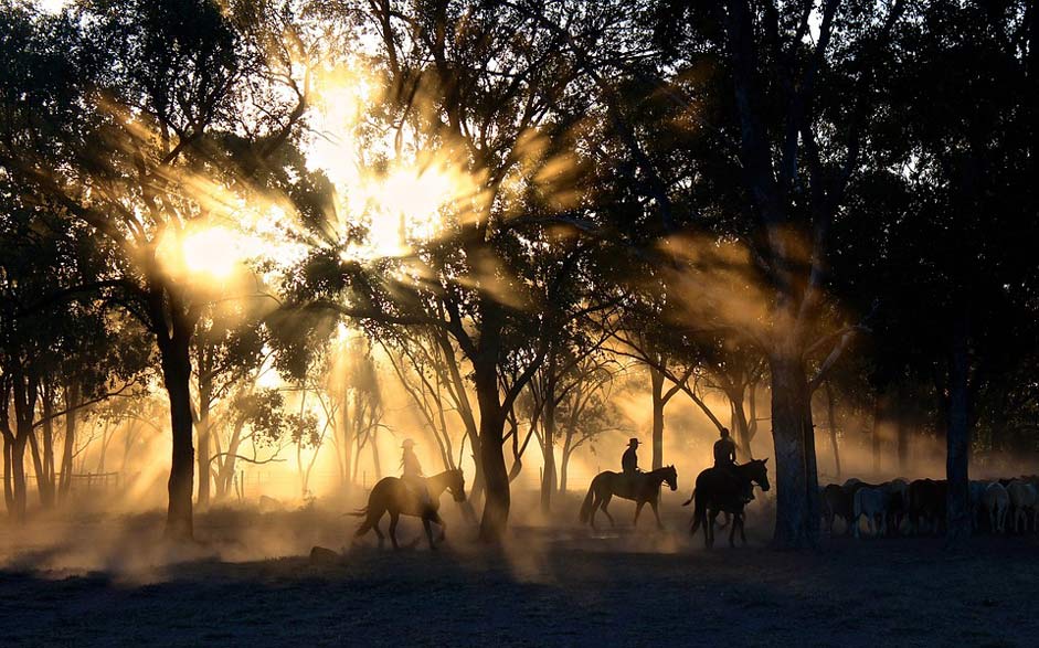 Silhouettes Sunset Riding Cowboys