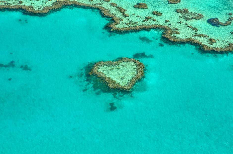 Coral-Reef Australia Coral Heart
