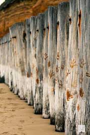 Breakwater Wood Beach Poles Picture