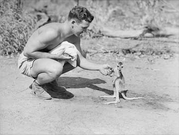 Australia Joey 1942 Black-And-White Picture