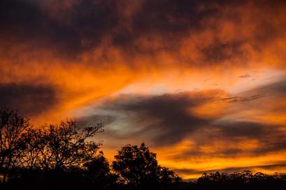 Sunset Orange Clouds Sky Picture