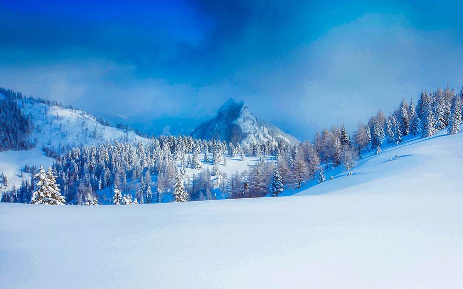Snowdrift Snow Winter Austria