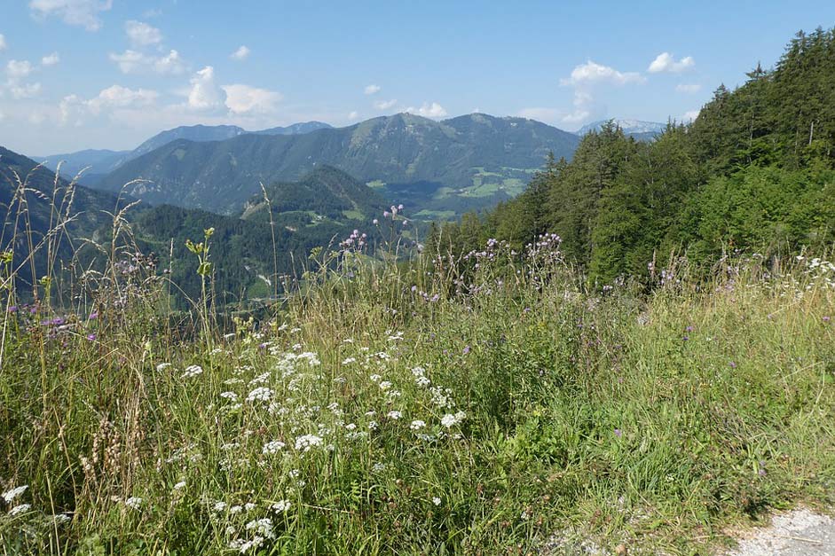 Landscape Holiday Austria Mountains