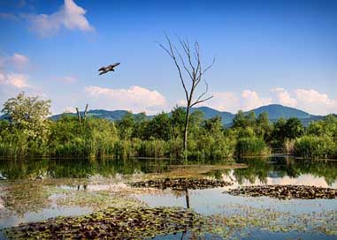 Lavant Au The-Nature-Reserve-Untouched Water Picture