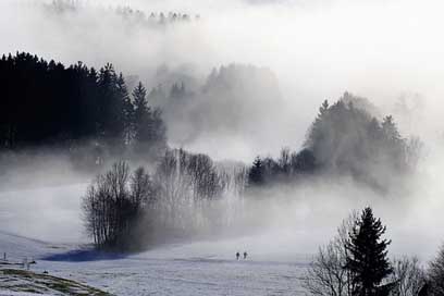 Fog Hike Winter Nature Picture