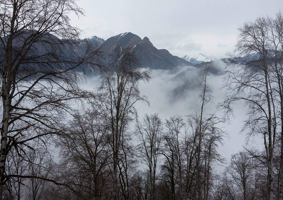 Fog Forest Azerbaijan Winter