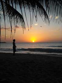 Jamaica Island Beach Sunset Picture