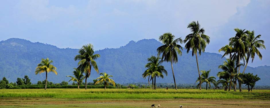 Nature Landscape Picture - Free Bangladesh Photos