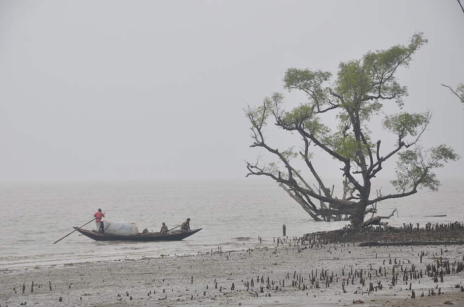 Tourism Sundarban Sea Boat