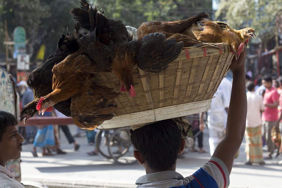 Basket Streets Bangladesh Dhaka