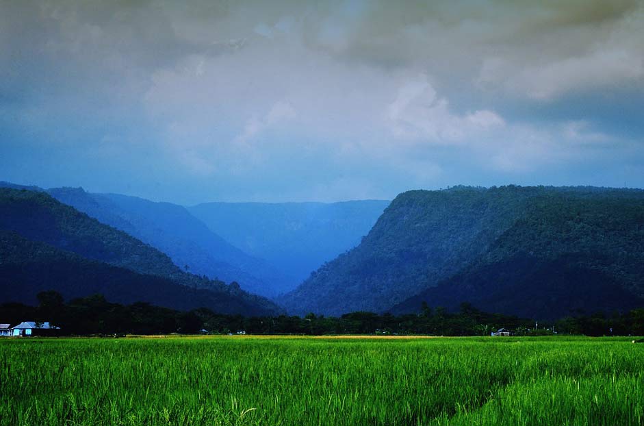 Hills Nature Sylhet Landscape