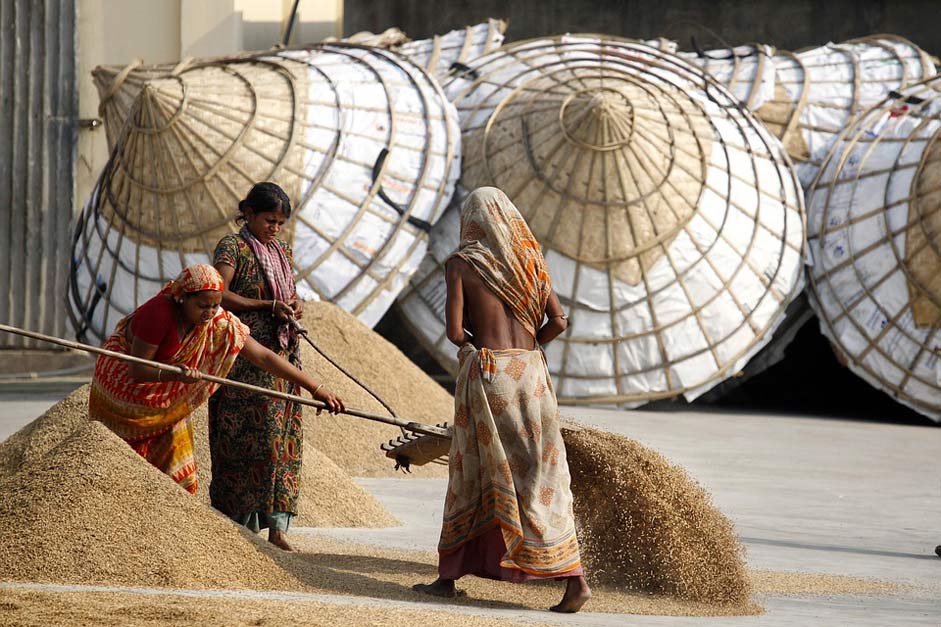  Bangladesh Women Rice