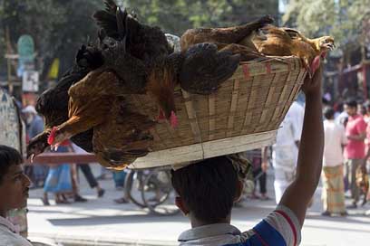 Dhaka Basket Streets Bangladesh Picture