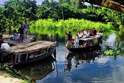 Bangladesh  Boat Forest Picture