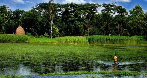 Bangladesh  Boat Lake Picture