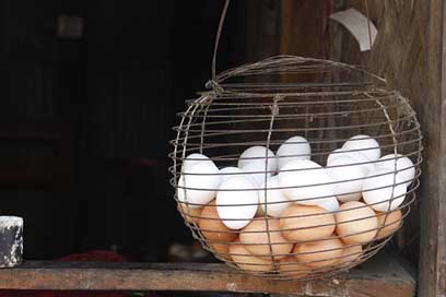 Eggs Bangladesh Shop Village Picture