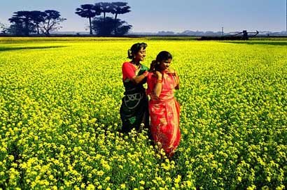 Bangladesh  Women Village Picture