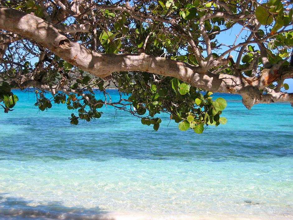 Beach Sea Caribbean Barbados