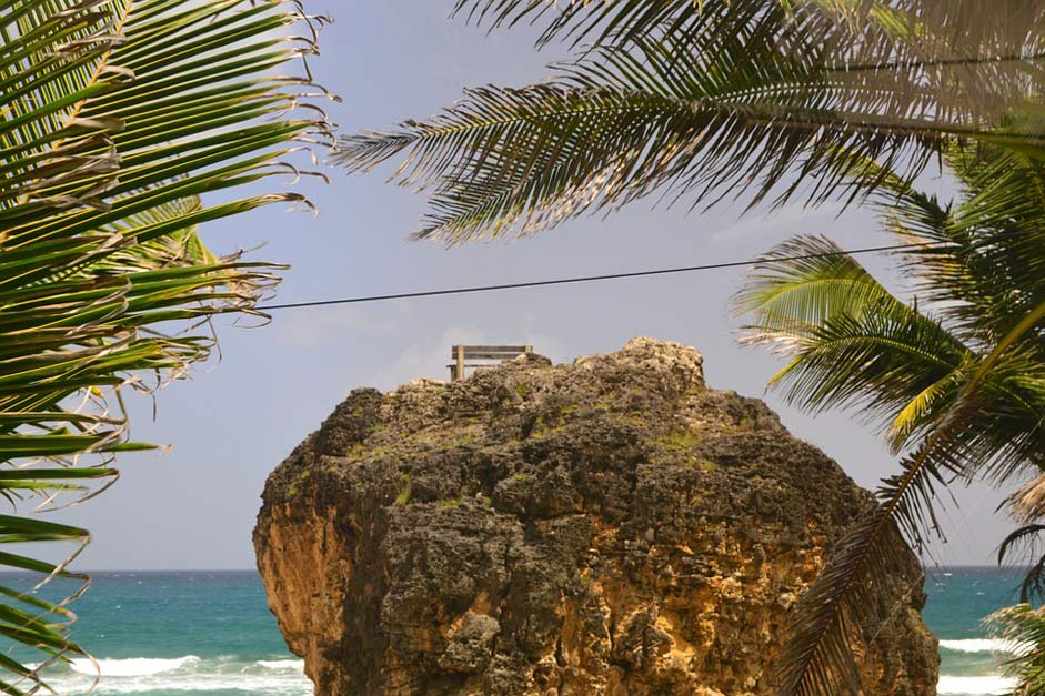 Seascape Beach Palm-Trees Barbados