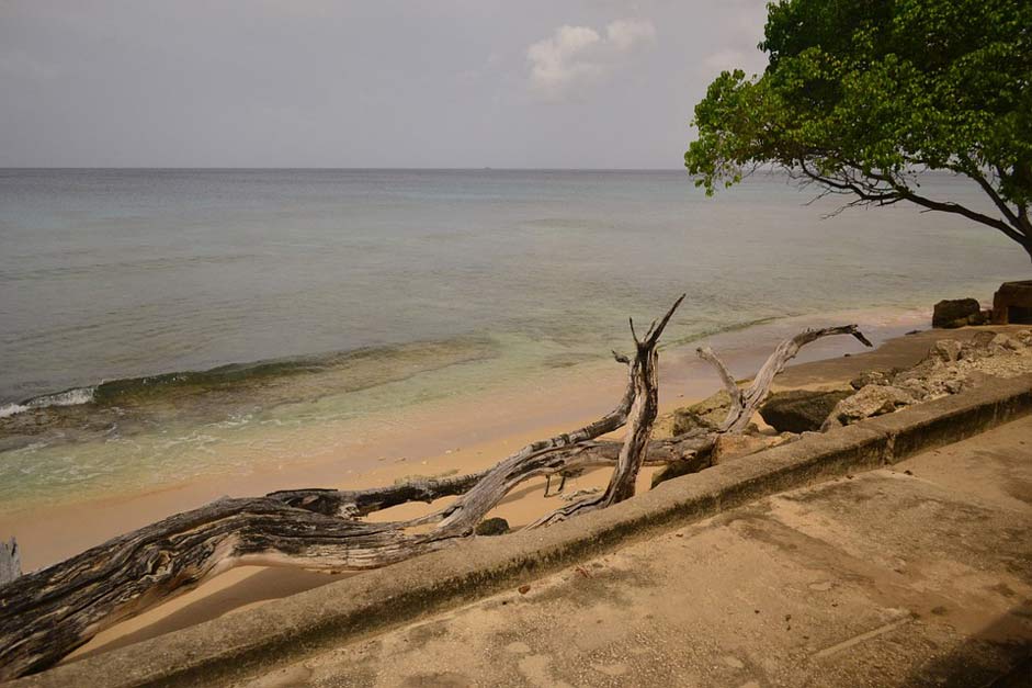 Beach Coast Sea Barbados