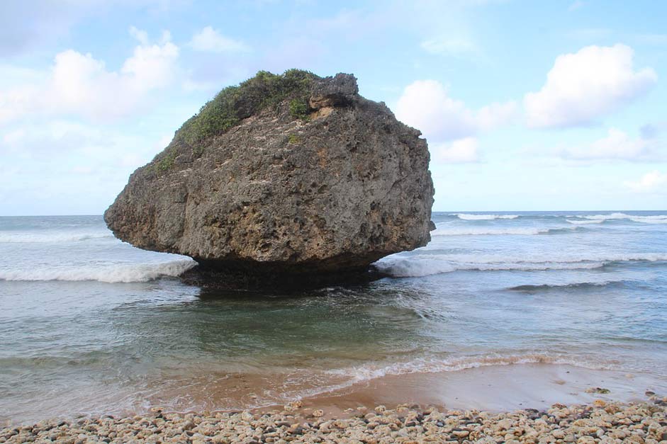 Rock Nature Barbados Beach