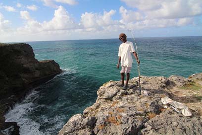 Visser Cliff Nature Barbados Picture
