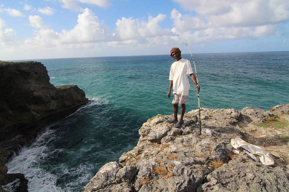 Cliff Nature Barbados Visser