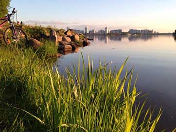 Belarus Summer Landscape Nature Picture