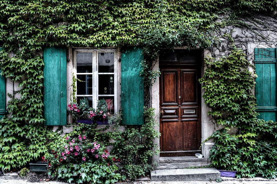 Belgium House Facade Ivy