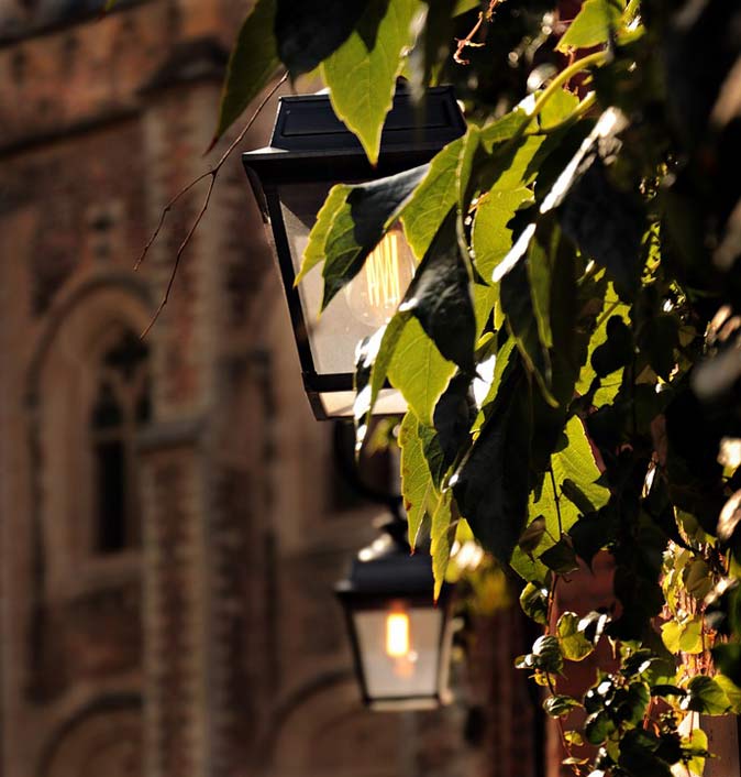 Light Vine-Leaves Church Lantern