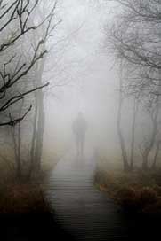 Fog Man Nature Autumn Picture