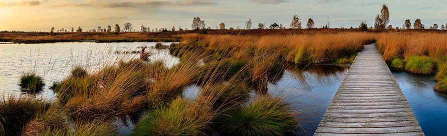 Sunset Belgium Venn Moor Picture