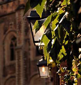 Lantern Light Vine-Leaves Church Picture