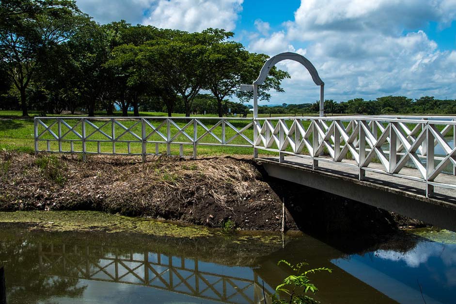 Walk Creek Over Bridge