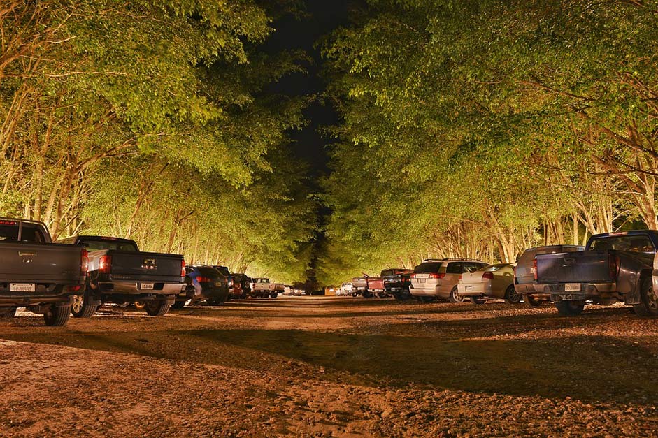 Trees Park Parking-Lot Cars