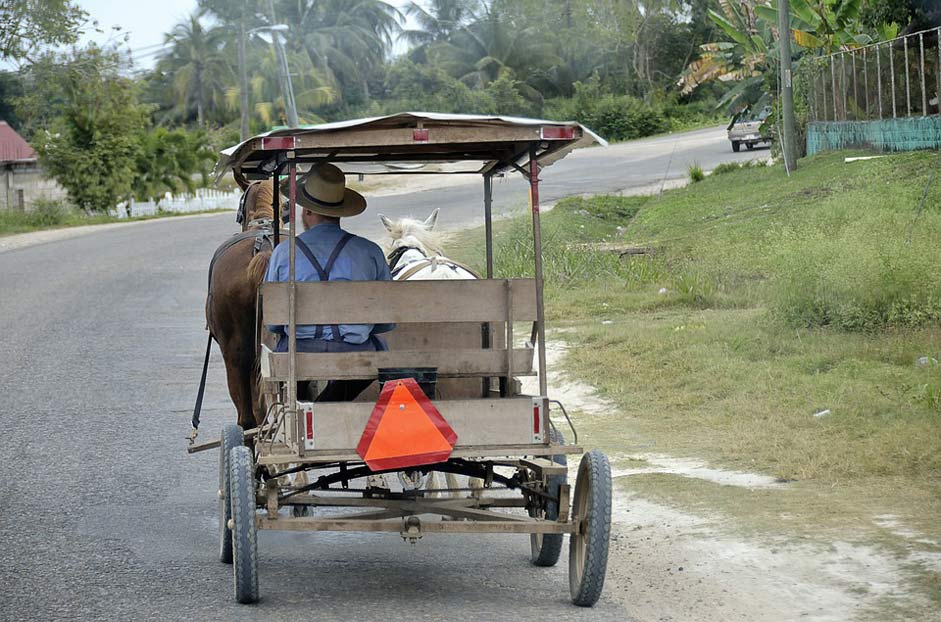 Carry Horse-Drawn-Carriage Belize Central-America