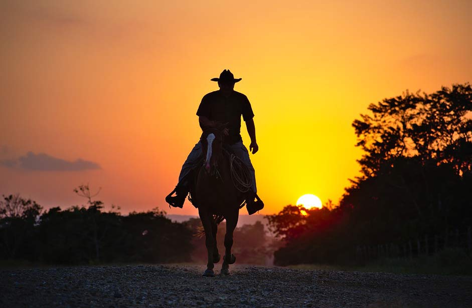 Summer Silhouette Cowboy Horse